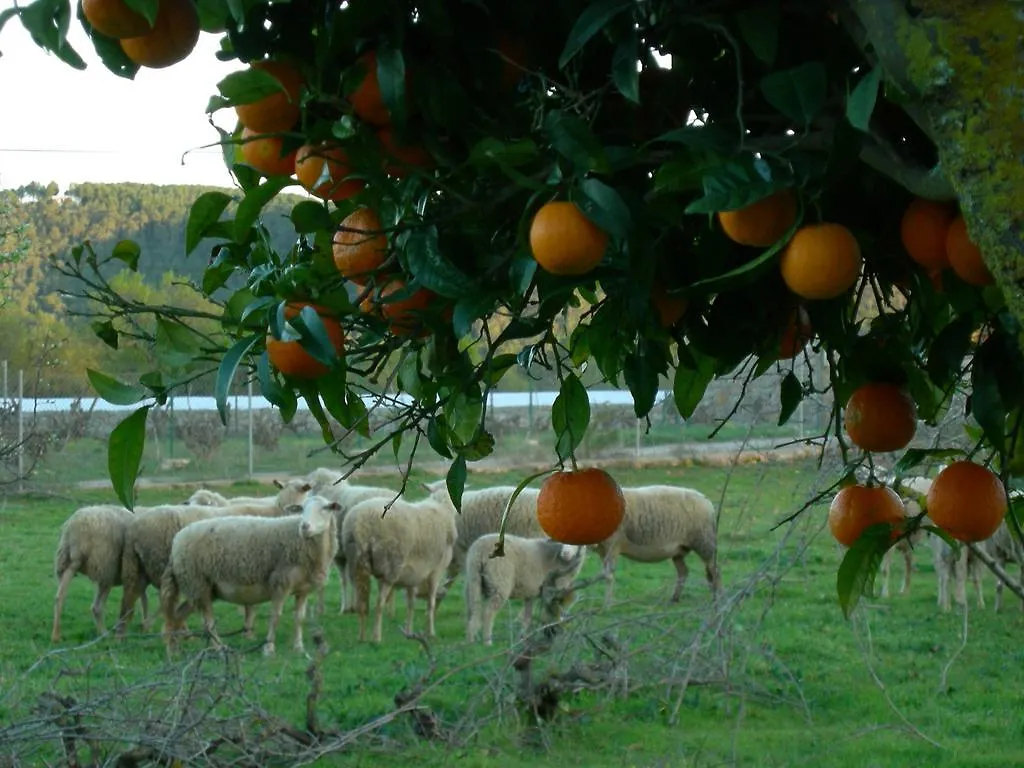 Agroturismo Sa Vinya D'En Palerm Sant Miquel de Balansat Spagna