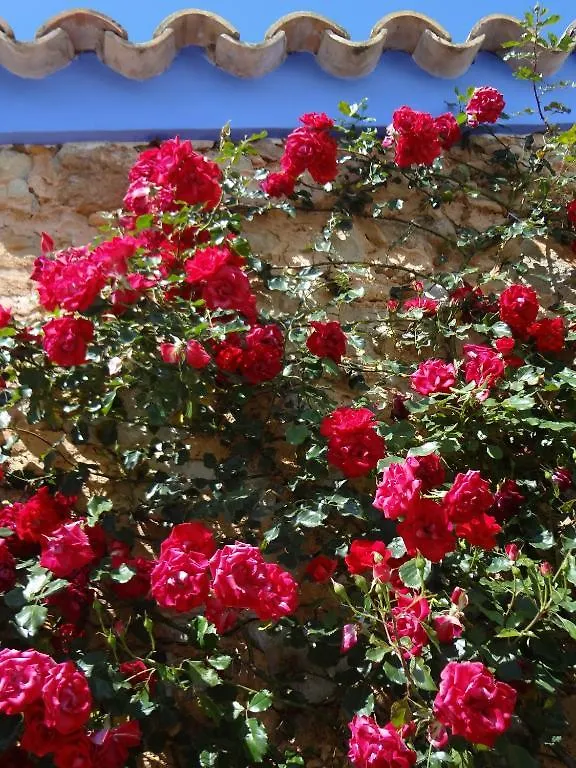 Alloggio per agriturismo Agroturismo Sa Vinya D'En Palerm Sant Miquel de Balansat Spagna