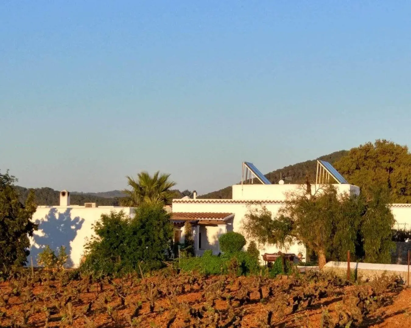 Agroturismo Sa Vinya D'En Palerm Sant Miquel de Balansat 0*,