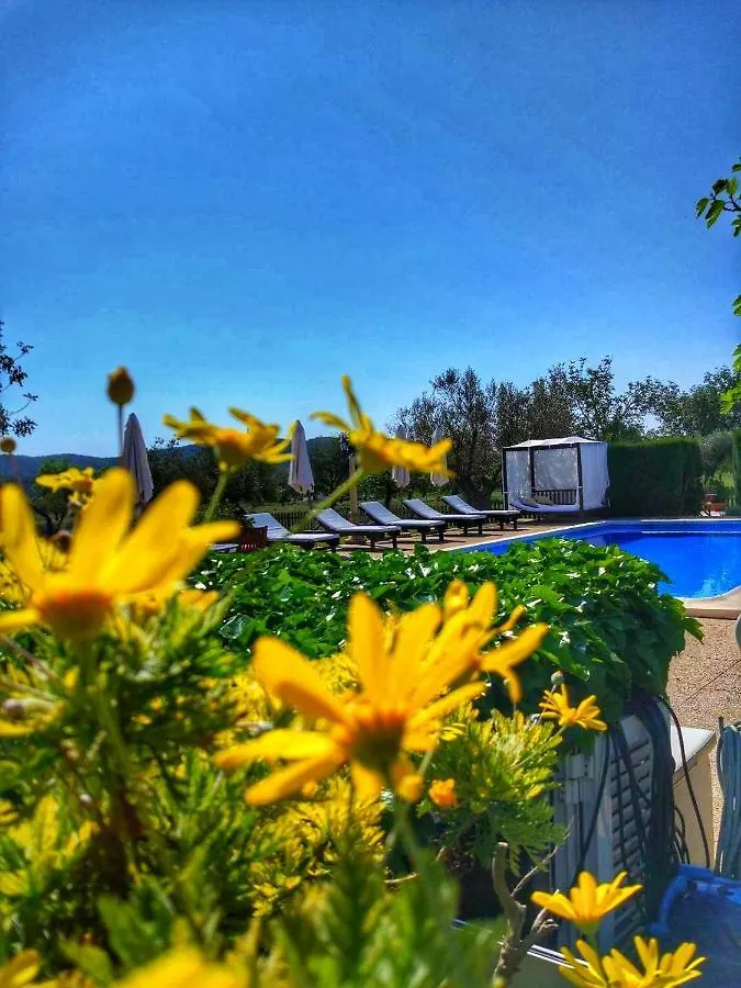 Alloggio per agriturismo Agroturismo Sa Vinya D'En Palerm Sant Miquel de Balansat Spagna
